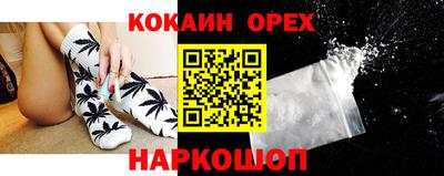 индика Кандалакша