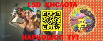 индика Кандалакша