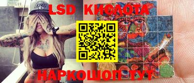 индика Кандалакша