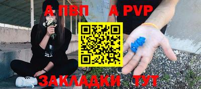индика Кандалакша